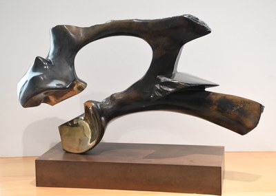 Cazador de sueños