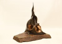 El ave y la marea negra