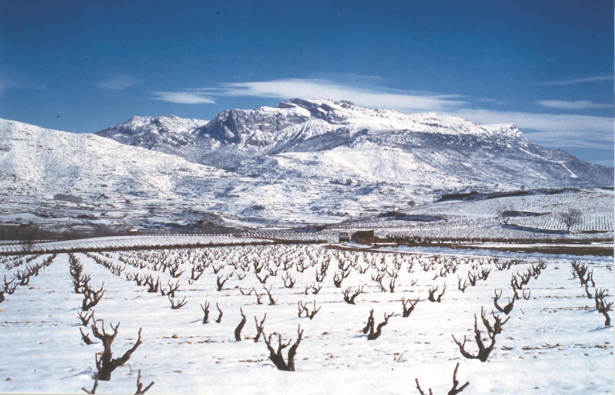 Paisaje invernal
