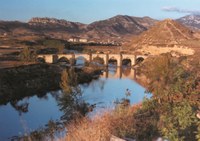 Puente gótico sobre el río Ebro