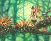 Recogiendo bromelias