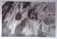 Retrato de Sofía Moro