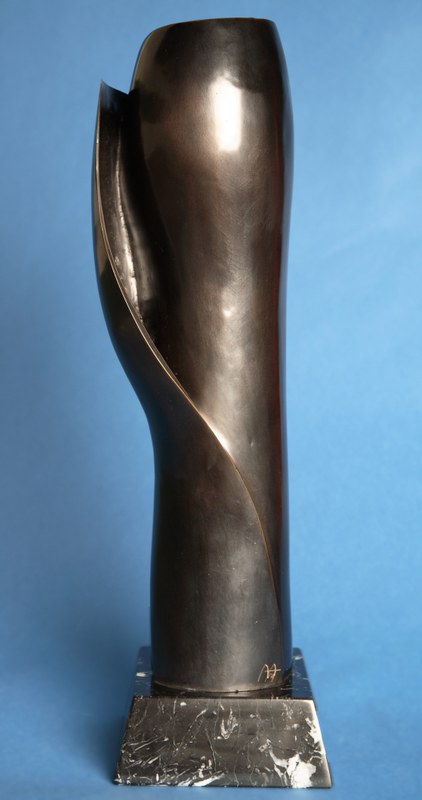 Semilla negra