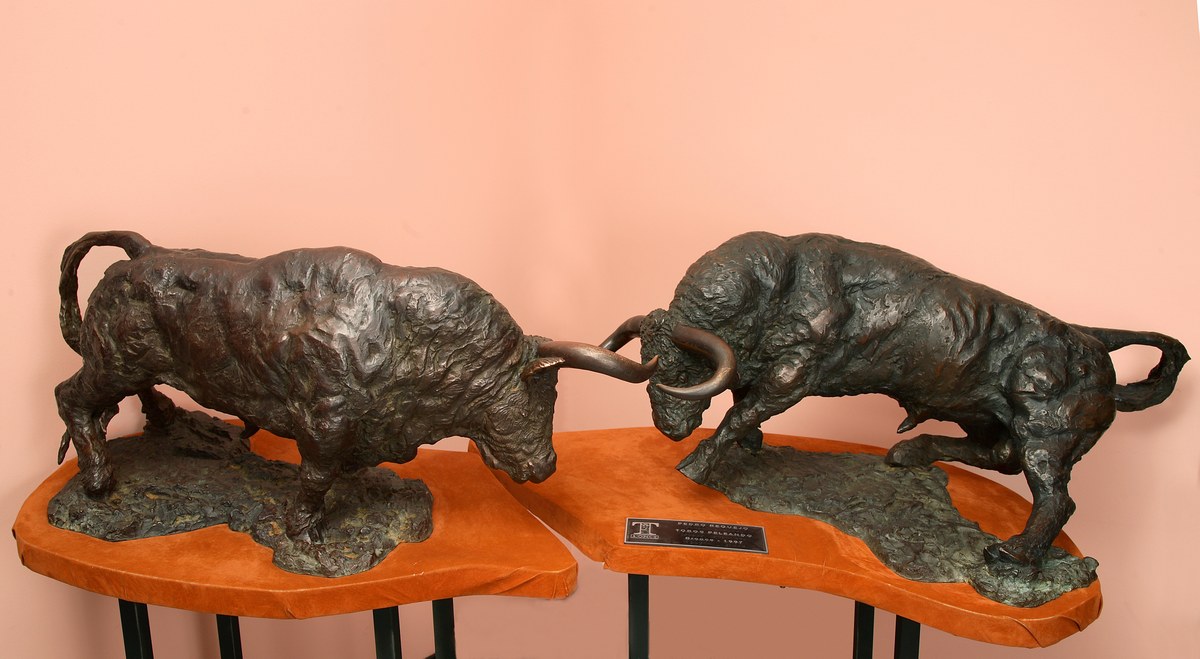 Toros en pelea