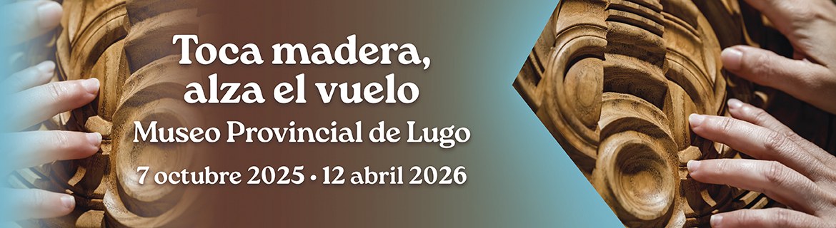 ‘Toca madera, alza el vuelo’, esculturas del Museo Tiflológico de la ONCE para ver y tocar, en el Museo Provincial de Lugo