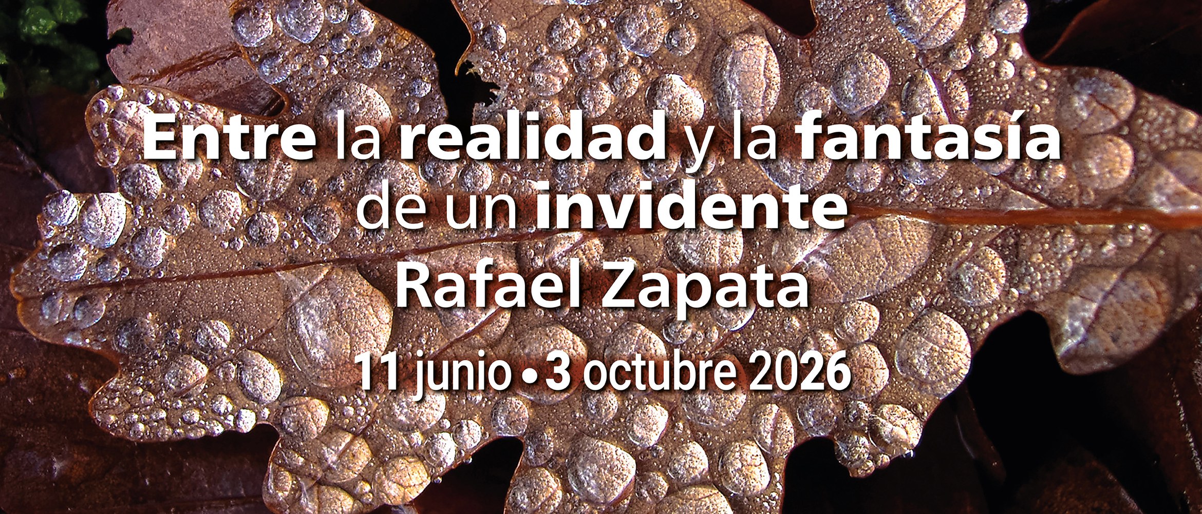 Exposición Rafael Zapata