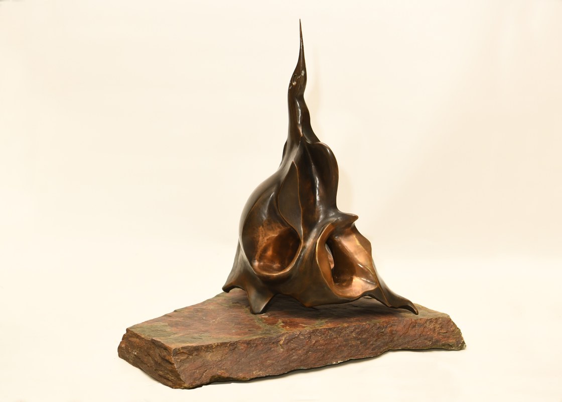 El ave y la marea negra