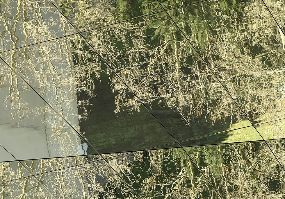 Reflejos de un bosque urbano