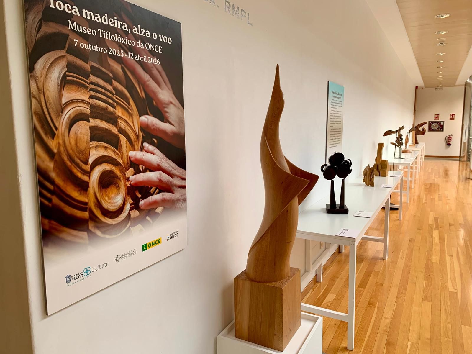 Vista general de la exposición Vista general de la exposición